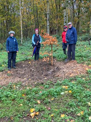 Planting trees in the Primrosehill Woodland 